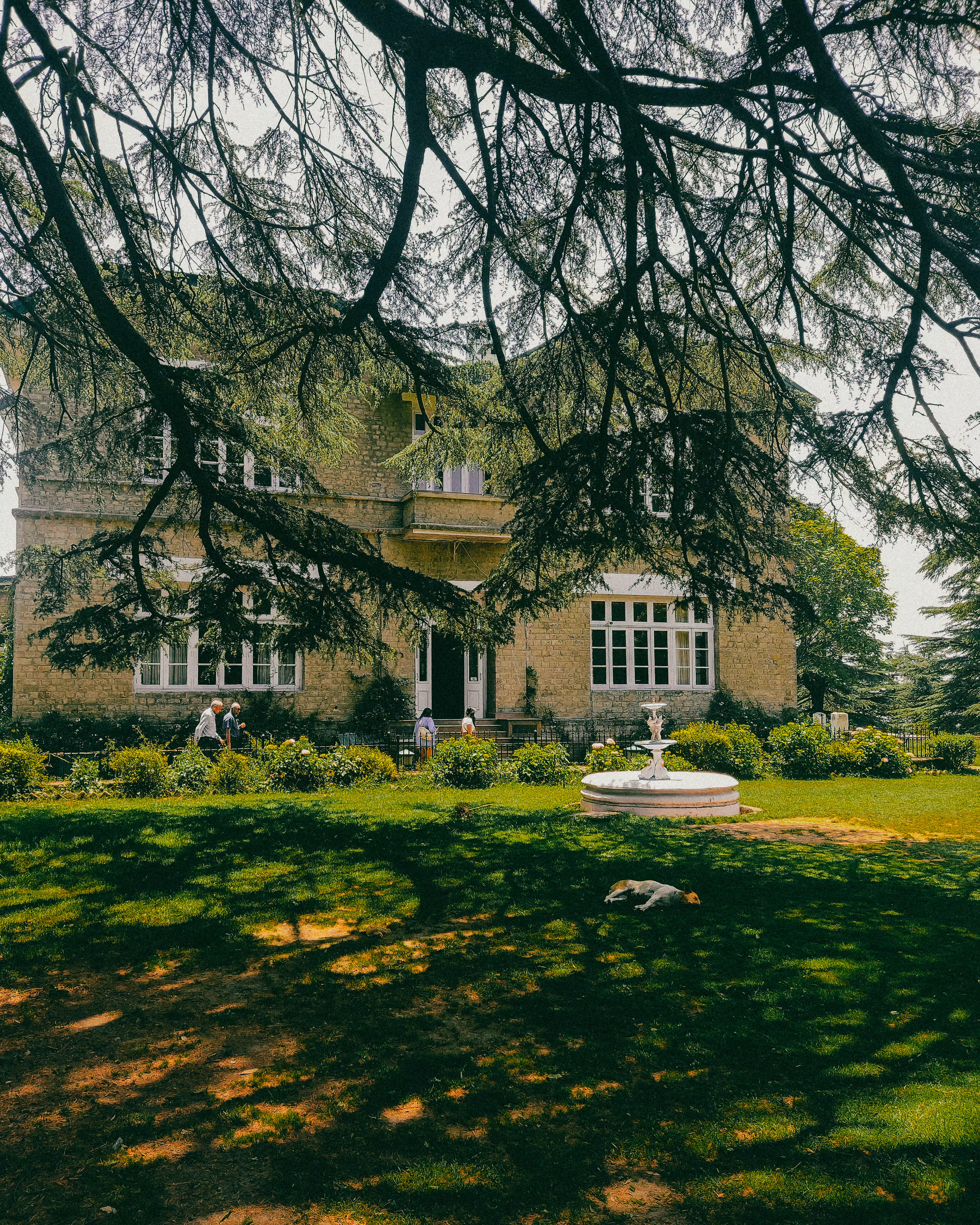 The beautiful Chail Palace